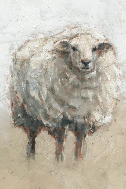 Fluffy Sheep II