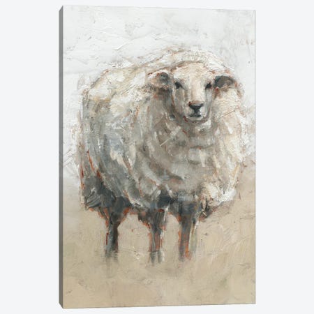Fluffy Sheep II Canvas Print #EHA922} by Ethan Harper Canvas Art Print