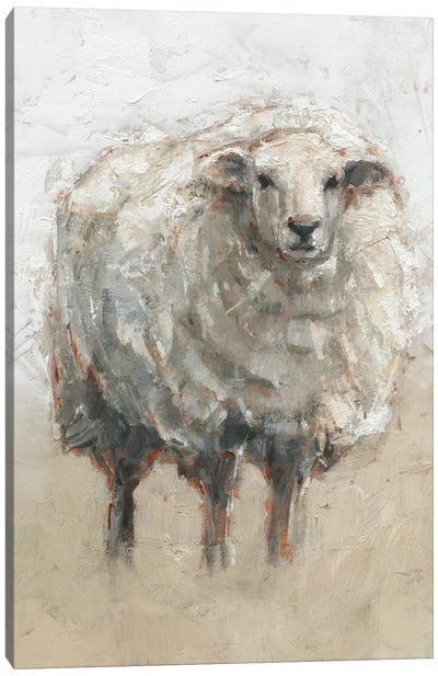 Fluffy Sheep II Canvas Art Print - Sheep Art