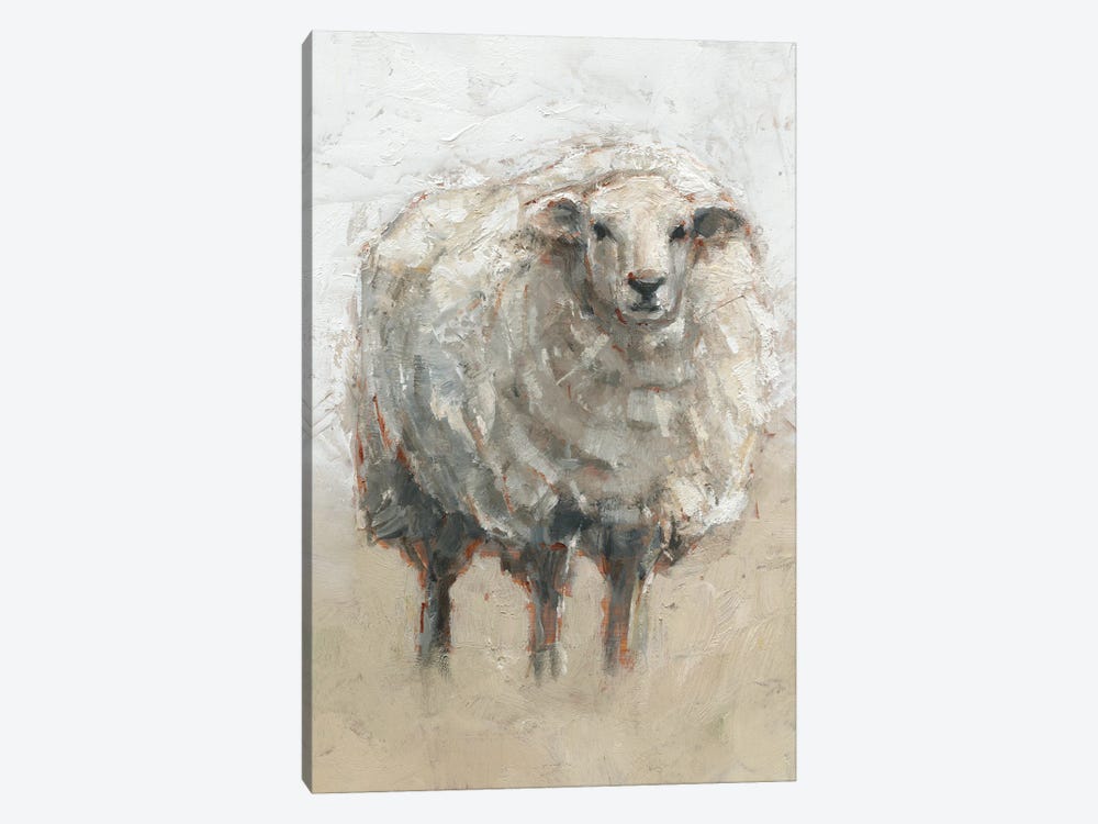 Fluffy Sheep II by Ethan Harper 1-piece Canvas Print