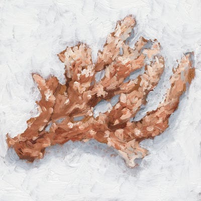 Coral Display II by Ethan Harper art print