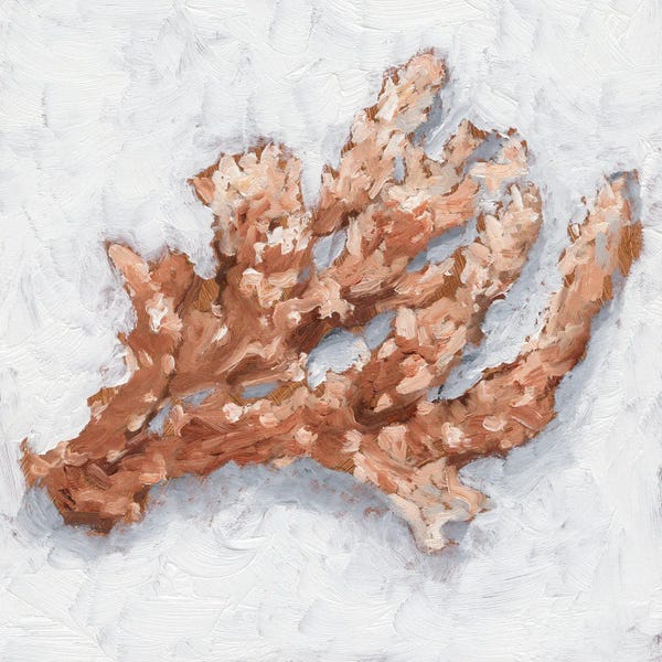 Coral: Coral Display II by Ethan Harper