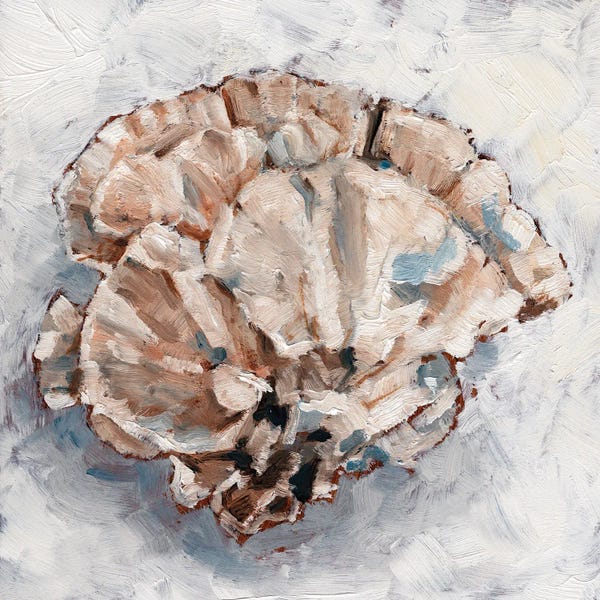 Coral: Coral Display III by Ethan Harper