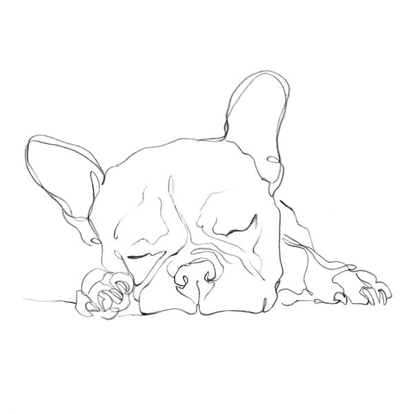 French Bulldogs: French Bulldog Contour I by Ethan Harper