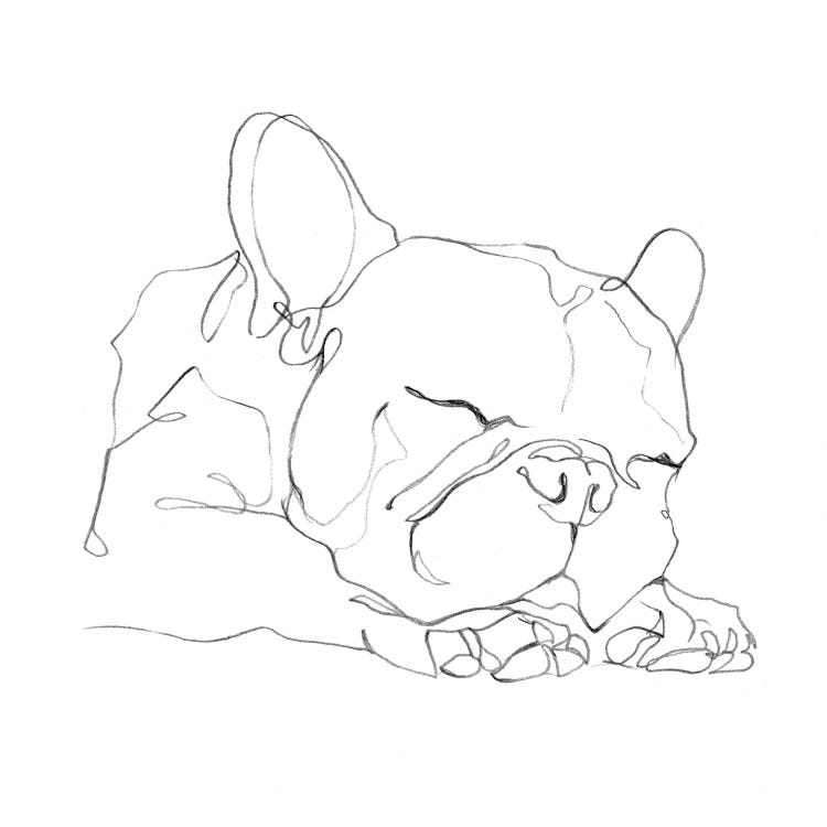 French Bulldog Contour II