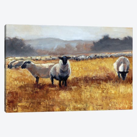 Grazing at Sunset I Canvas Print #EHA935} by Ethan Harper Canvas Print