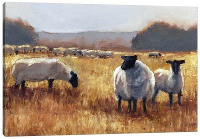 Grazing at Sunset II Canvas Art Print - Sheep Art