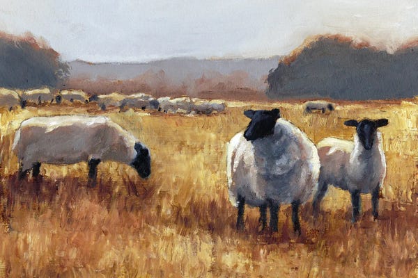 Sheep: Grazing at Sunset II by Ethan Harper