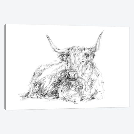 Highland Cattle Sketch I Canvas Print #EHA937} by Ethan Harper Art Print