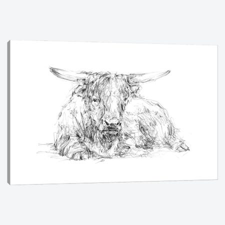Highland Cattle Sketch II Canvas Print #EHA938} by Ethan Harper Canvas Artwork