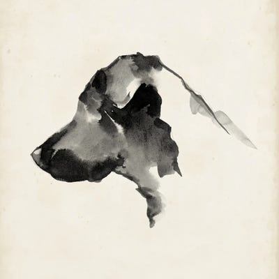 Puppy Profile II by Ethan Harper art print