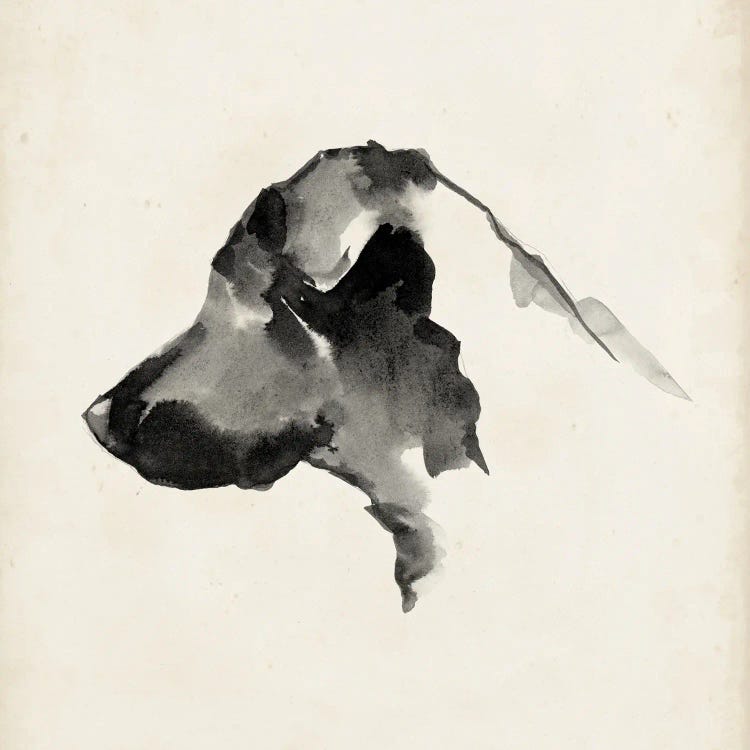 Puppy Profile II by Ethan Harper wall art