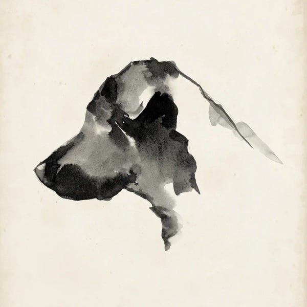 Ethan Harper: Puppy Profile II by Ethan Harper