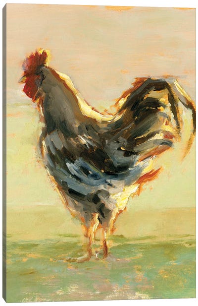 Sunlit Rooster II Canvas Art Print - Ethan Harper