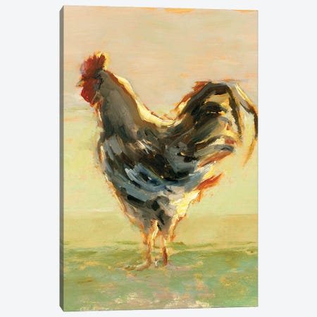 Sunlit Rooster II Canvas Print #EHA954} by Ethan Harper Canvas Print