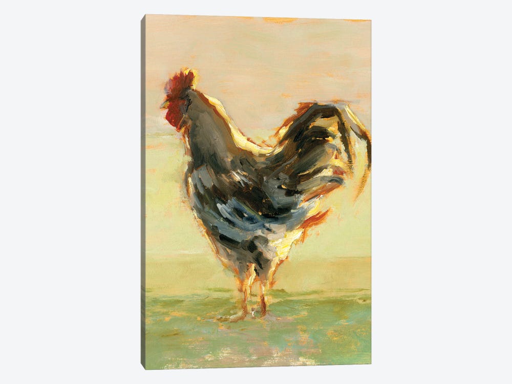 Sunlit Rooster II by Ethan Harper 1-piece Canvas Art