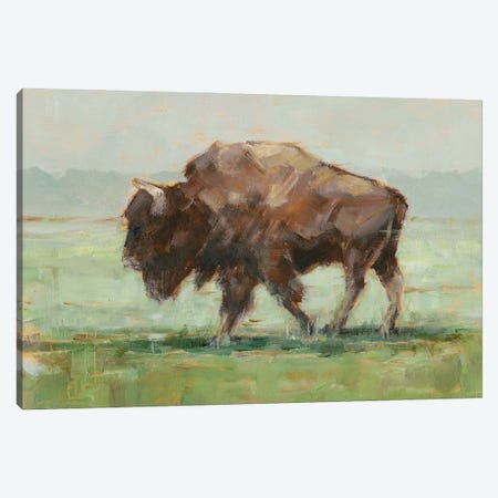 Where the Buffalo Roam II Canvas Print #EHA958} by Ethan Harper Canvas Wall Art