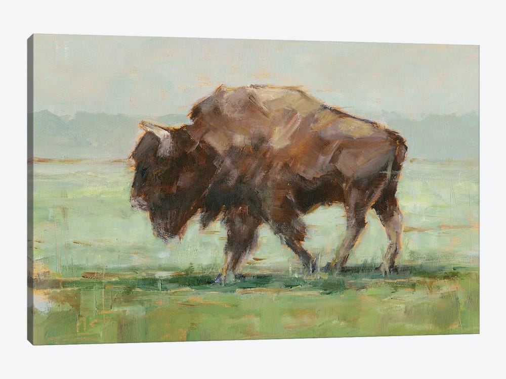 Where the Buffalo Roam II by Ethan Harper 1-piece Canvas Artwork