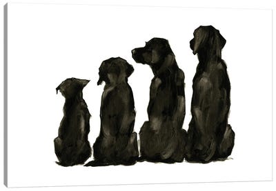 Line Up I Canvas Art Print - Black & White Animal Art
