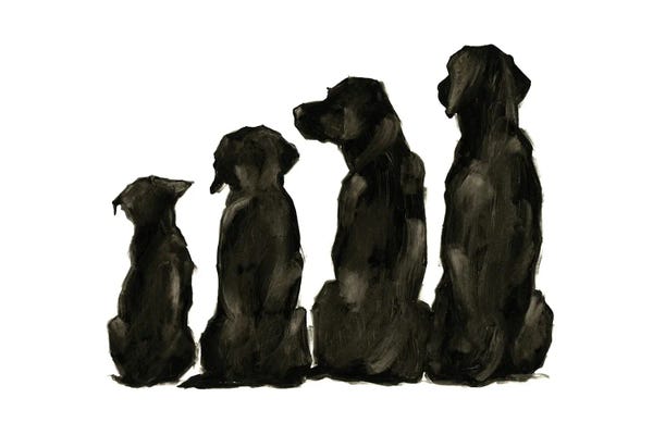 Black & White Animal Art: Line Up I by Ethan Harper