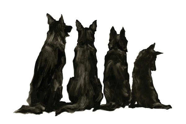 Black & White Animal Art: Line Up II by Ethan Harper