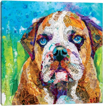 Bull Dog Canvas Art Print - Bulldog Art