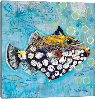 Clown Triggerfish Canvas Art Print - Fish Art