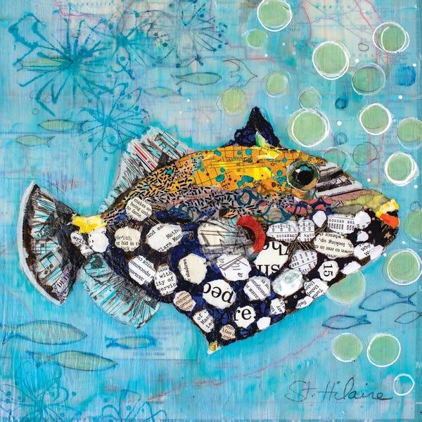 Fish: Clown Triggerfish by Elizabeth St. Hilaire