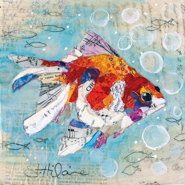 Goldfish: Fan Tail Goldfish by Elizabeth St. Hilaire