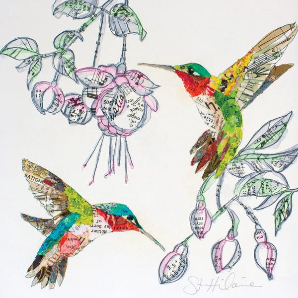 Hummingbirds: Hummers And Blooms II by Elizabeth St. Hilaire