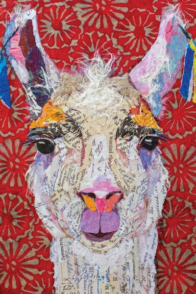 Llamas: Llama Drama by Elizabeth St. Hilaire