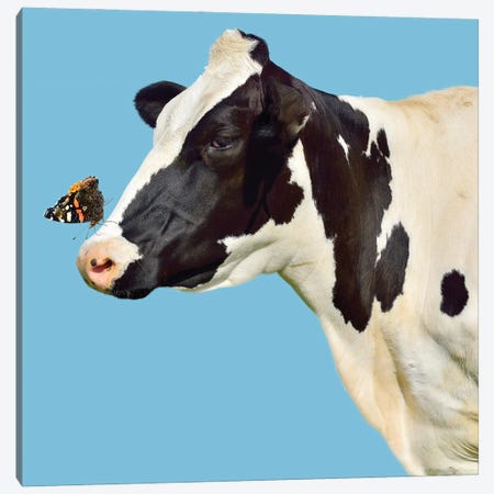 Cow With Butterfly On Her Nose Canvas Print #EHS8} by Unknown Artist Canvas Print
