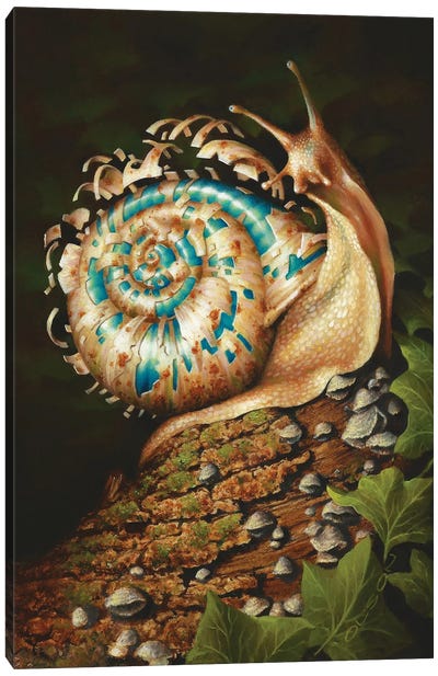 Renew Canvas Art Print - Snail Art