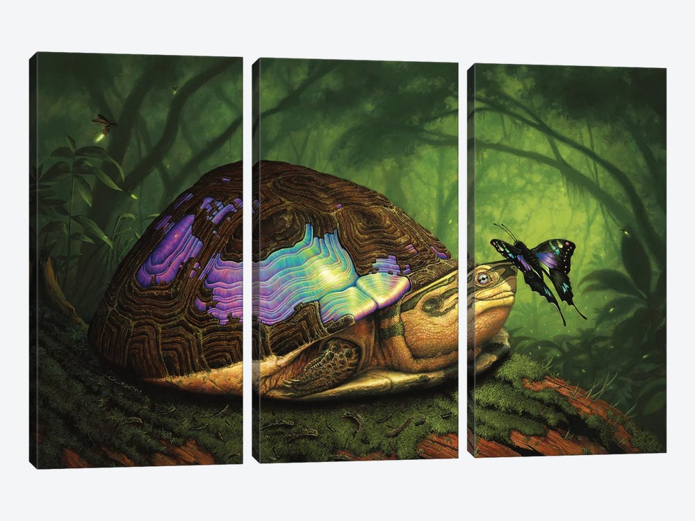 Take In The Beauty by Eirich Olson 3-piece Canvas Art