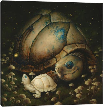 Watching In Wonder Canvas Art Print - Turtle Art
