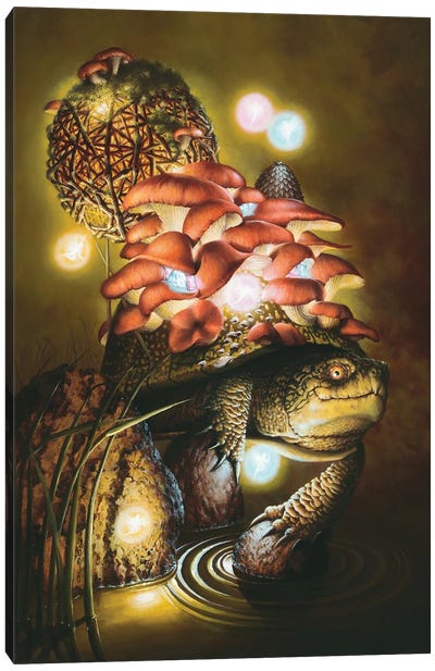 Faerie House Canvas Art Print - Turtle Art