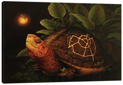 Kintsugi Canvas Art Print - Turtle Art