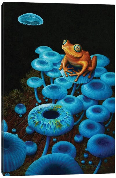 Under The Influence Canvas Art Print - Frog Art