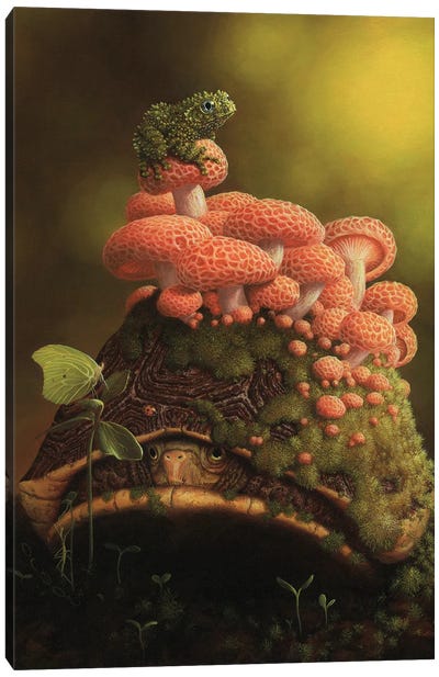 Who's There Canvas Art Print - Mushroom Art