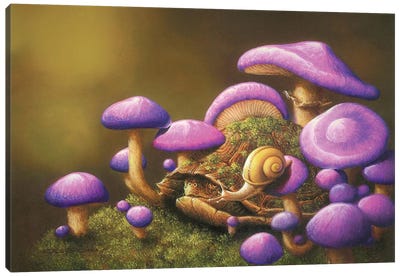 Hello Canvas Art Print - Snail Art