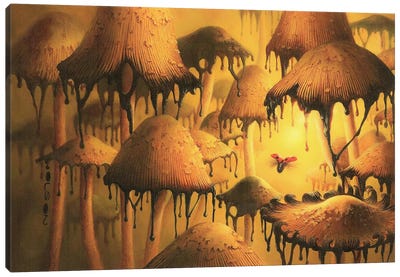 Find My Way Canvas Art Print - Mushroom Art
