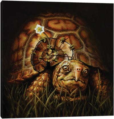 Hope Canvas Art Print - Turtle Art