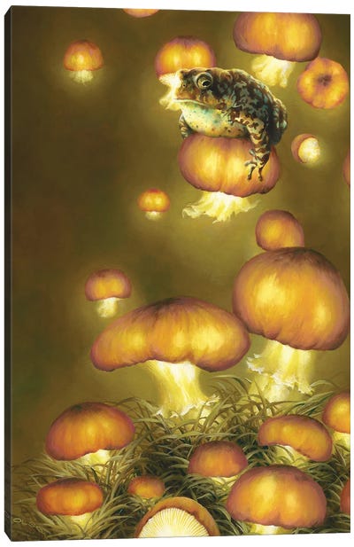 Meditate Canvas Art Print - Mushroom Art