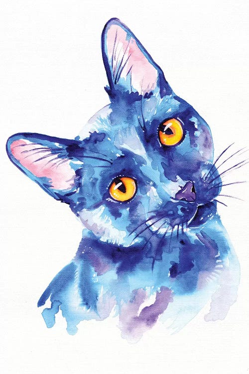 Blue Cat