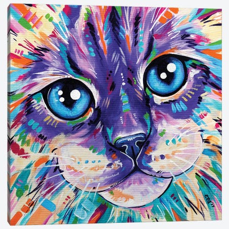 Cats In Colour I Canvas Print #EIZ12} by Eve Izzett Canvas Art