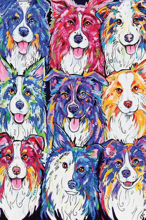 Collies In Colour