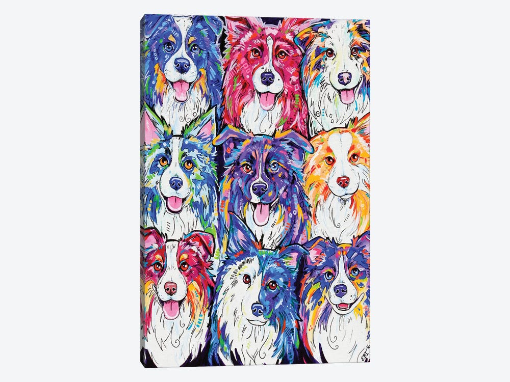 Collies In Colour by Eve Izzett 1-piece Canvas Print