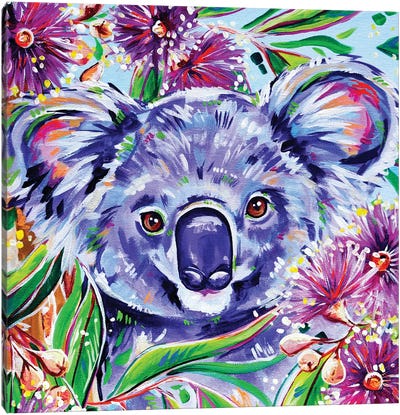 Koala Square Canvas Art Print - Koala Art