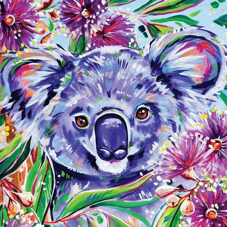 Koala Square