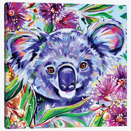 Koala Square Canvas Print #EIZ23} by Eve Izzett Canvas Print